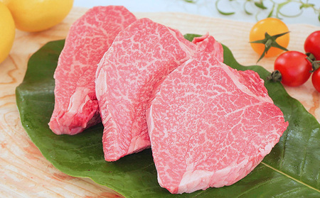 飛騨牛 ヒレステーキ 希少部位 赤身 飛騨牛【150g×3】