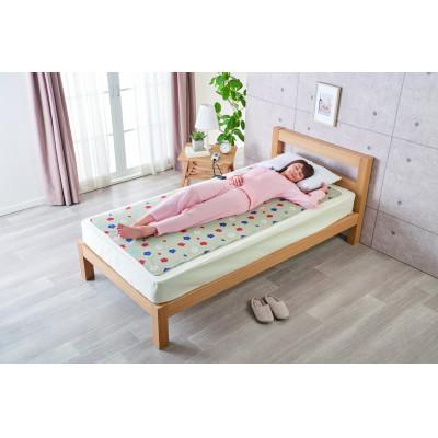 ふるさと納税 和泉市 電気綿敷毛布ロング (電気毛布)(約180×80cm) |  | 02