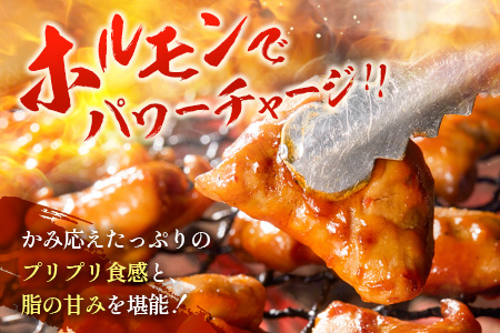 小分けで便利＜宮崎ハーブ牛＞ホルモン 小腸（200g×4パック）【B577】