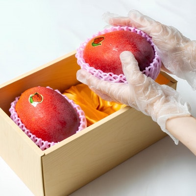 【2026年発送・糖度15度以上保証】頑固おやじのこだわりマンゴー匠 大玉1kg(2玉)【配送不可地域:離島】