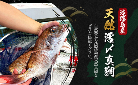 真鯛 淡路島産 活〆 しゃぶしゃぶ 3～4人前 真鯛
