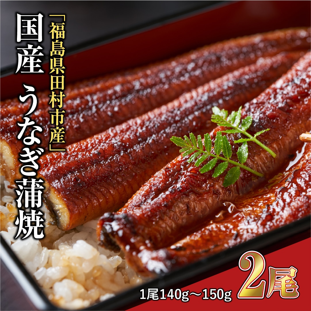 『福うなぎ』のかば焼き(140～150g×2尾) 魚 養殖 ウナギ 鰻 肉厚 冷凍 ギフト 贈答 贈り物 福島県 田村市 ニューフロンティア N18-G16-01