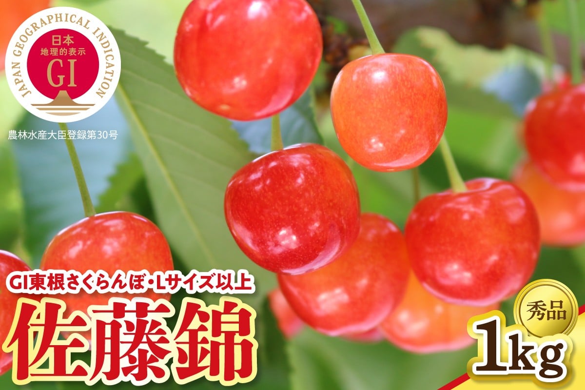
            【2026年産】 GI東根さくらんぼ「佐藤錦」 秀品 Lサイズ以上 1kgバラ詰め（500g×2パック） 山形県 東根市 フルーツピッカー提供 hi097-014
          