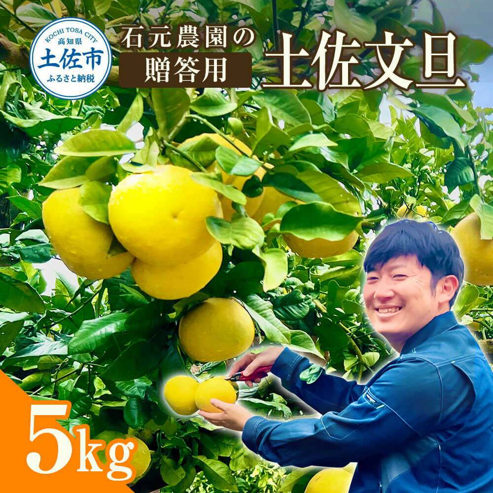 【ふるさと納税】【先行予約】石元農園の土佐文旦 贈答用約5キロ（7〜12玉） 土佐文旦 高知 柑橘 フルーツ ぶんたん 果物 甘い 旬 産直 お取り寄せ 季節限定 訳あり 家庭用 お得 自宅用 高知県土佐市/石元農園[BQBH003]