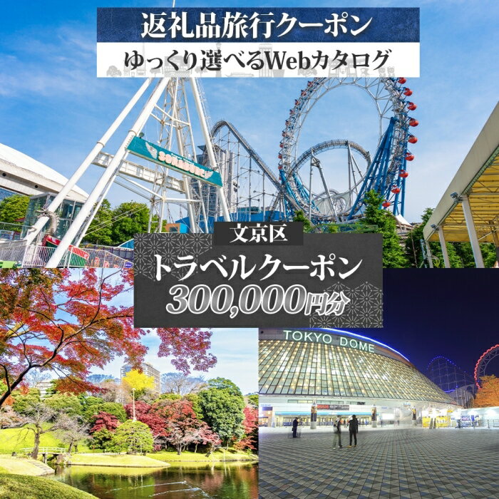 【ふるさと納税】旅行クーポン 予約 東京ドーム 300,000円分 根津 千駄木 観光 旅行 老舗 トラベル チケット カップル 宿泊 旅行券 宿泊券 宿泊施設 カタログ 宿泊プラン 家族 父の日 母の日 東京都 文京区 ホテル 旅館 東京都文京区 高級 おすすめ 返礼品