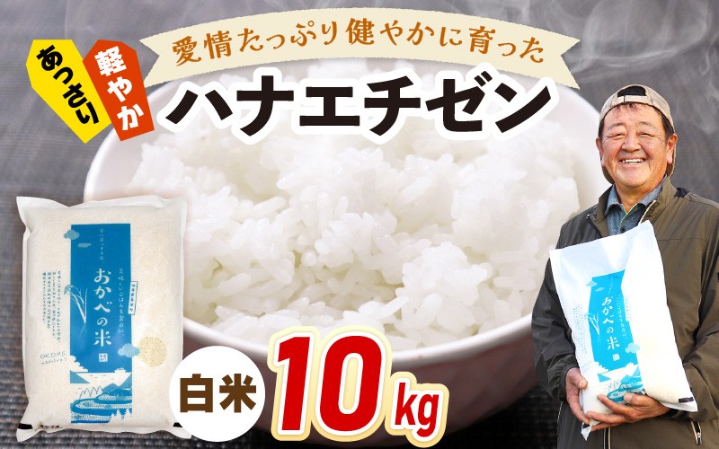 
                  令和8年産 愛情たっぷり健やかに育った ツヤツヤ ハナエチゼン（白米）10kg [m29-b005]
                