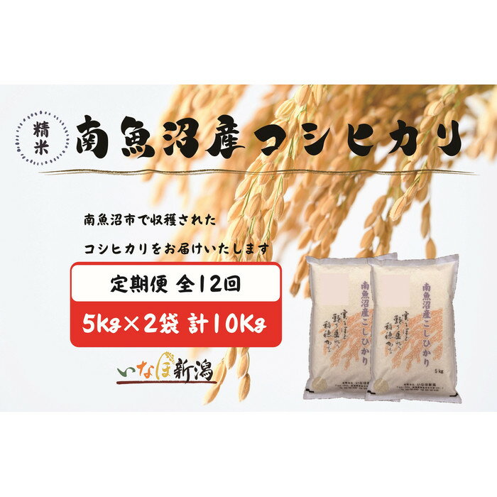 【ふるさと納税】【令和7年産】【定期配送】南魚沼産コシヒカリ 白米 5kg×2袋(10kg) 全12回 | お米 こめ 白米 食品 人気 おすすめ 送料無料