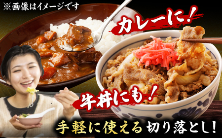【12回定期便】 切り落とし 1000g（500g×2P）[AFBO080]