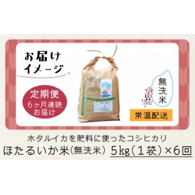ふるさと納税 滑川市 【毎月定期便】ほたるいか米　無洗米　5kg全6回 |  | 03
