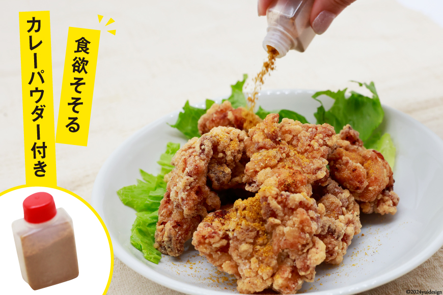 唐揚げ ごちから カレー味 300gx3袋(計900g) [からあげ専門店おっSAMA 石川県 宝達志水町 38600909] からあげ から揚げ 冷凍食品 揚げ物 おかず お弁当 惣菜 大容量 冷凍