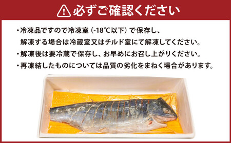 【丸富水産】新巻鮭（半身・切身）　約1.1kg