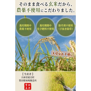 雑穀米 いなみ野 古代三色米 玄米 兵庫県産 雑穀米【200g】