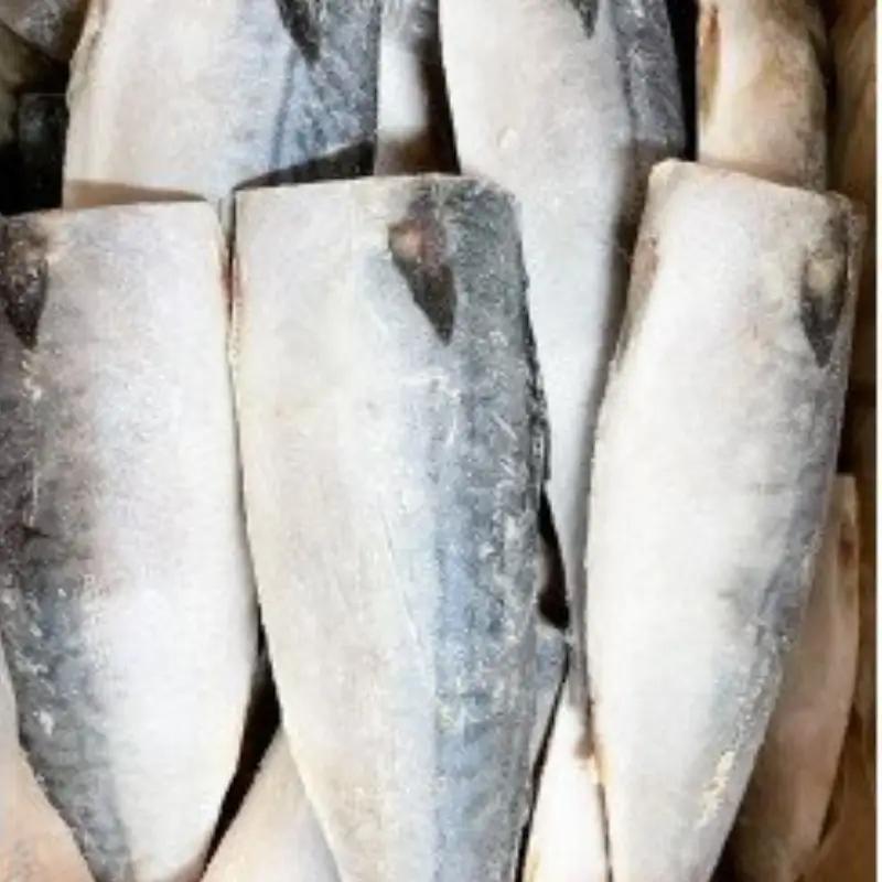 【ご家庭用】大容量！塩さばフィレ3.5kg　鯖 サバ 切身【uot749C】