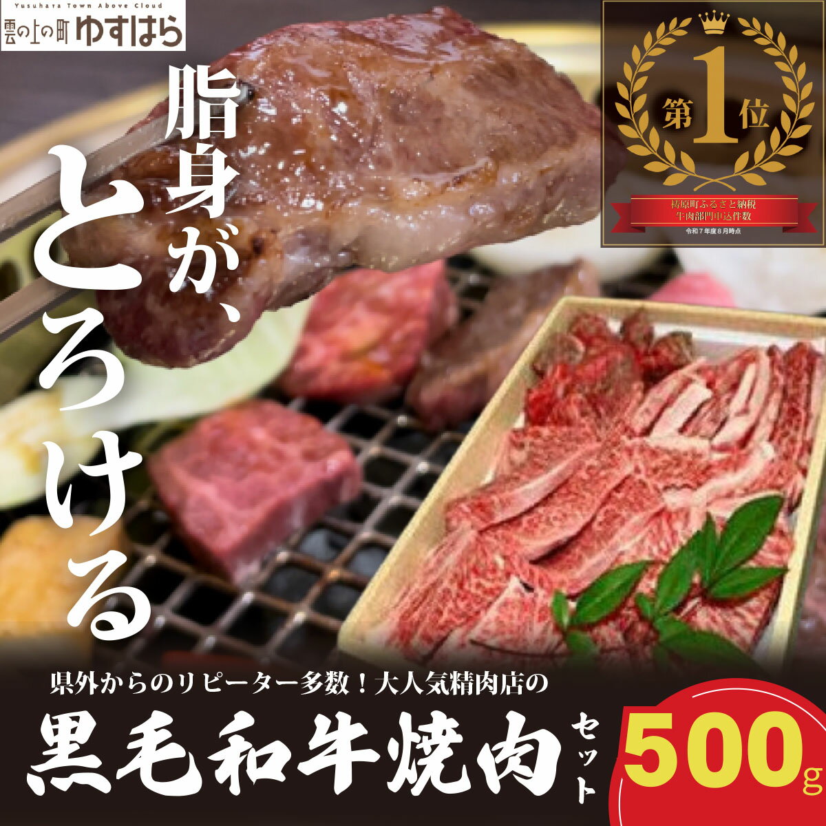 【ふるさと納税】低温でも脂身がとろける梼原町産黒毛和牛 丸かじり焼肉セット（500g）【GA01】牛肉 焼肉 焼き肉 やきにく 国産 高知県産 冷凍便