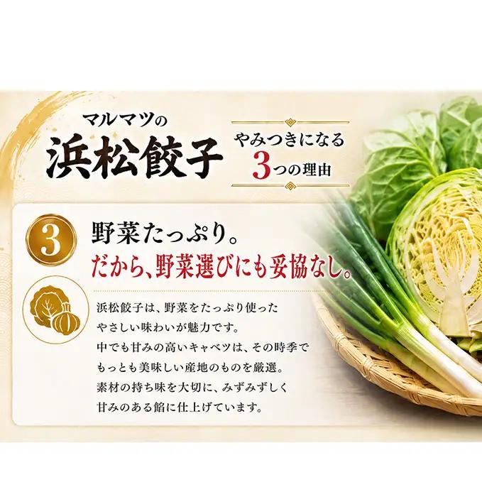 浜松餃子 120粒 2種味くらべ（定番の味60粒、スタミナ60粒）総重量2.4kg！ 