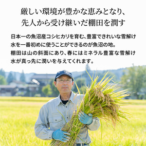 無洗米 米農家自慢の 魚沼産 コシヒカリ2kg×2袋 12ヶ月連続お届け 米 お米 こめ こしひかり 白米 無洗 定期便 定期 隔月 新潟県 魚沼市 魚沼