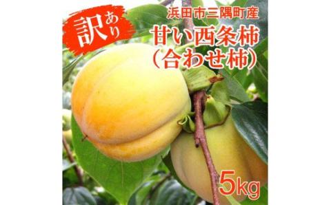 【先行予約】浜田自慢 訳あり甘い西条柿（合わせ柿）5ｋｇ ≪10月下旬発送開始≫ 訳あり 傷あり 果物 柿 5kg フルーツ 旬 秋の味覚 期間限定 数量限定 デザート くだもの【145_1169】