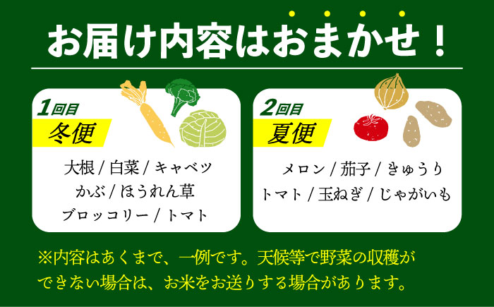 【8月～10月先行受付】【冬季初回発送】小値賀島で育った新鮮野菜おまかせセット　冬季1回・夏季1回お届け [DAB081]