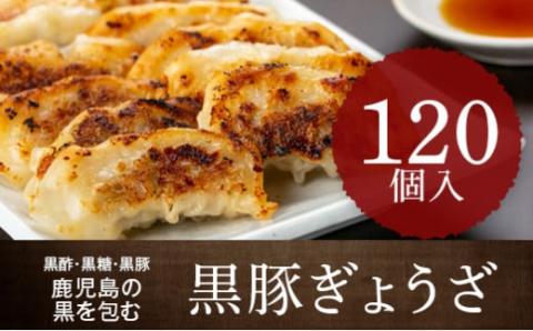 黒豚餃子セット（10パック入）