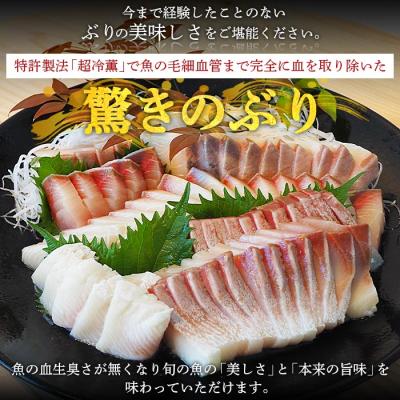 ふるさと納税 西予市 <異次元の鮮度!「超冷薫」冷凍ぶり ロイン(5kg)>　海鮮　ブリ　鰤　魚介　西予 |  | 01