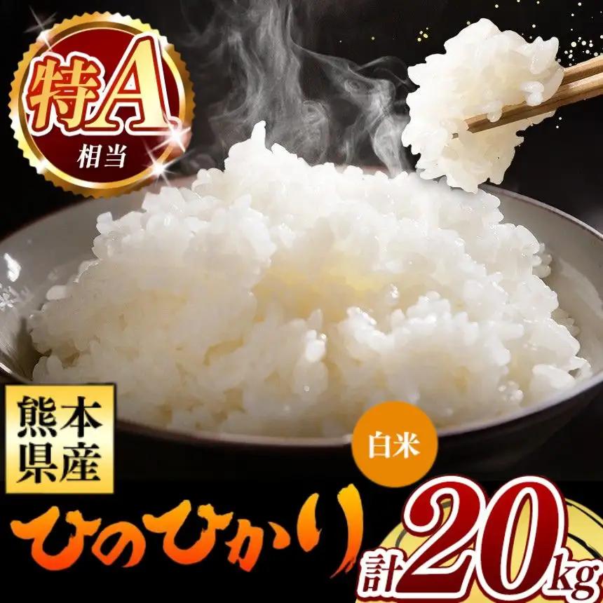 令和7年産 熊本県産 ひのひかり 白米 20kg 米 こめ