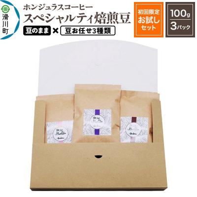 ふるさと納税 滑川町 ホンジュラスコーヒー【初回限定お試しセット】焙煎豆 豆のまま|19_pun-030301d