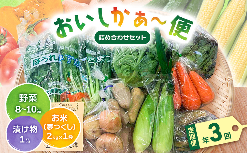 定期便 3ヶ月 おいしかぁ～便 詰め合わせ セット 年3回