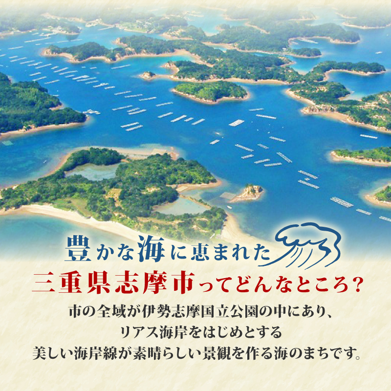 ひじき ご飯 セット 伊勢 志摩 三重県 ひじき ふりかけ かつお しそ ちりめん  3種類 国産 海藻 乾燥 セット 小分け お手軽 お弁当 朝食 おにぎり 5000円 五千円