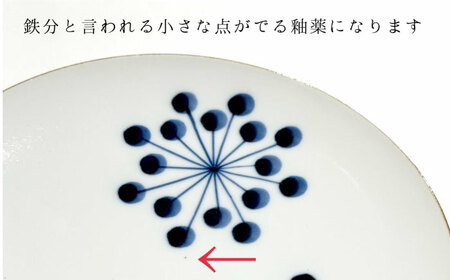 はなてん模様 15cmプレート 2点 副久製陶所 24to3 / 佐賀県 / 株式会社西富陶磁器 [41APCJ017]