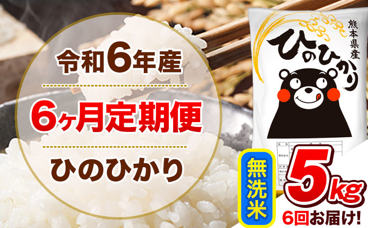 
            令和6年産 【6ヵ月定期便】 無洗米 ひのひかり 定期便 5kg 5kg×1袋《お申込み翌月から出荷開始》 熊本県産 精米 ひの 米 こめ ヒノヒカリ コメ お米 
          