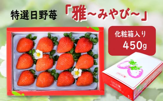 【先行予約】 いちご 特選　日野苺「雅（みやび）」（約450g） 化粧箱  愛媛県西条市産 【11月下旬～2027年2月発送】 ｜ いちご 苺 完熟 農家直送 産地直送 果物 くだもの フルーツ 野菜 いちご イチゴ 愛媛県産 おすすめ 人気 お取り寄せ 送料無料 贈答 ギフト ひのいちご園