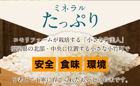 【12ヶ月定期便】令和5年産 小さな竹美人 7分づき 米 4kg(2kg×2袋) 株式会社コモリファーム《お申込み月の翌月から出荷開始》