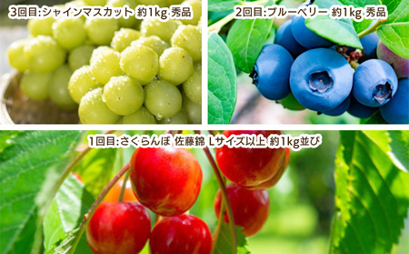 【定期便3回】やまがた 若夏のフルーツ定期便 FY25-048