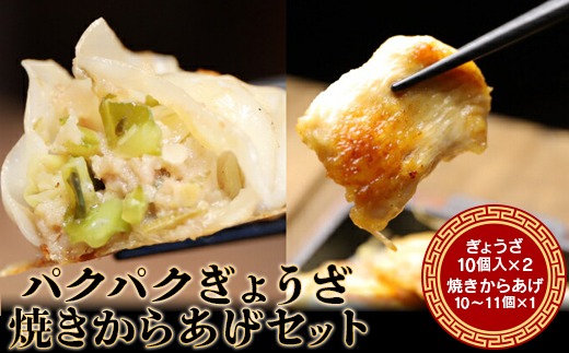 パクパクぎょうざ240gと焼きからあげ300gのセット　計540g【3600101】