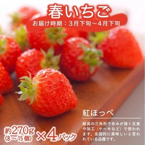 SE0207　【3回定期便】農家直送 こだわりのフルーツ定期便2024 (いちご、庄内メロン、いちじく)