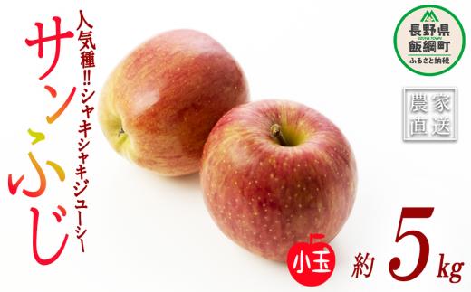 りんご サンふじ 小玉 5kg 丸茂ファーム 沖縄県配送不可 2024年1月下旬頃から2024年4月上旬頃まで順次発送予定 エコファーマー認定 令和6年度収穫分 長野県 飯綱町 [0283]