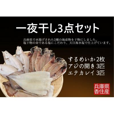 ふるさと納税 香美町 一夜干し3点セット |  | 01