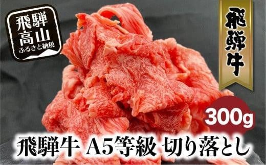 【2月発送】飛騨牛 A5等級 切り落とし  小間切れ A5ランク A5 5等級 肉  黒毛和牛 ブランド牛 300g 飛騨高山 ながせ食品 FH001VC02