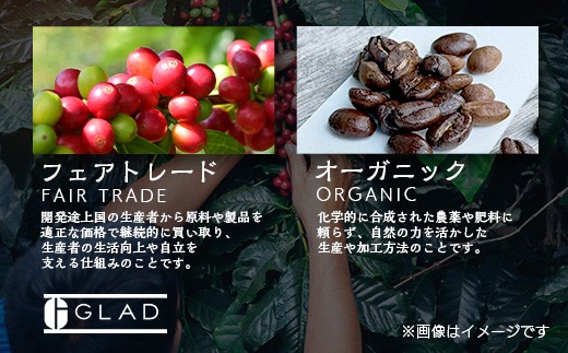 ブレンドコーヒー 30袋 《ドリップ中挽10g  》大容量有機JAS フェアトレード コーヒー豆使用 佐賀県 鹿島市 D-307