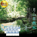 【ふるさと納税】【定期便】月山自然水500ml×24本×3ヶ月コース 天然水 国産 備蓄 防災 保存 ペットボトル ナチュラル 山形県 西川町 FYN9-729