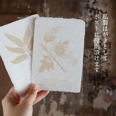 ふるさと納税 いの町 【紙漉きの技】土佐和紙うちわ&はがきセット(せんだん) |  | 02