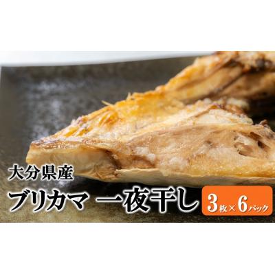 ふるさと納税 国東市 大分県産ブリカマ 一夜干し 3枚×6パック_2661R-3