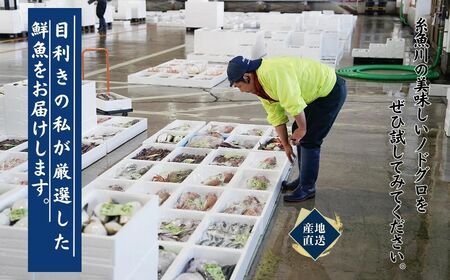 【2026年8月以降発送】天然のどくろ (アカムツ) 6尾 約2kg 先行予約 鮮度抜群！水揚げ直後に発送 高級魚 生 刺身 煮付け 下処理可能 魚正 日本海 刺身 ノドグロ のどぐろ 赤ムツ