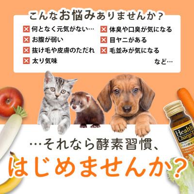 ふるさと納税 川口市 ペット用酵素飲料 ヘルスチャージD 50ml×5本 |  | 01