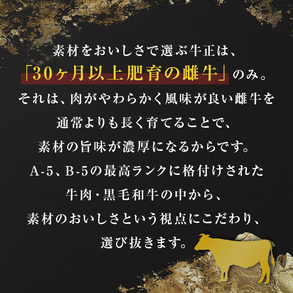 牛正 仙台牛 カレー 5個