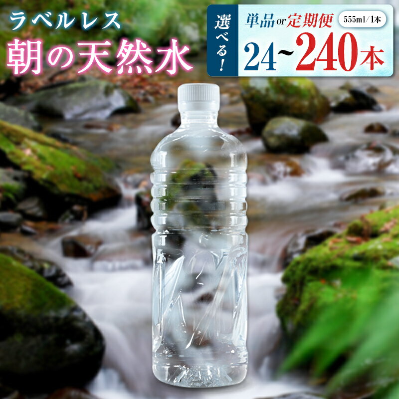 【ふるさと納税】＜選べる発送＞ シリカ 朝の天然水 555ml 24本 48本 定期 ラベルレス 中硬水 ミネラルウォーター シリカ水 ケイ素 常温保存 備蓄 防災 宮崎県 霧島連山