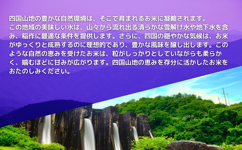 【令和6年産】　香川のお米　おいでまい　5kg お米