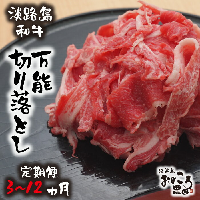 【ふるさと納税】【定期便3・6・12ヶ月】淡路島和牛 万能切り落とし 1kg （小分け200g×5パック）