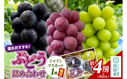 園主おすすめ！ ぶどう詰め合わせ 計4房（約2kg）シャインマスカット1房入り 群馬県 沼田市 やまいしぶどう園 群馬県ぶどう品評会群馬県知事賞受賞 [ぶどう 大粒 フルーツ 果物 美味 おいしい 葡萄 ブドウ シャインマスカット 食べ比べ]