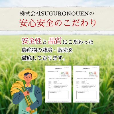 令和7年産　特別栽培米にじのきらめき 精米　10kg(5kg×2袋)